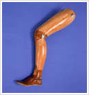 Orthotic Prosthetic Rehabiliation Clinic in Panchkula