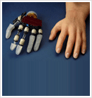 cosmetic-restoration